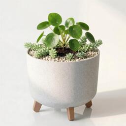 GEEZY Oval Self Watering Plant Pot 30cm Plastic With Wooden Legs White