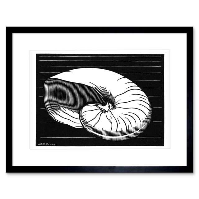 "Julie De Graag Bold Black White Shell Sea Life Bathroom 9x7"" Black Framed Wall Art Print"