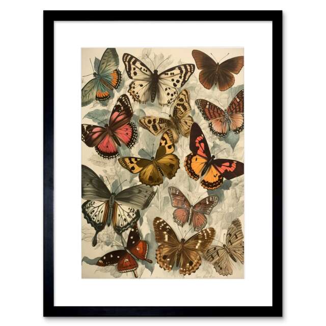 "Vintage Cottage Core Aesthetic Butterflies Insect Study 9x7"" Black Framed Wall Art Print"