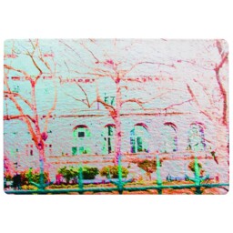 Red Tree In London Rug Multi