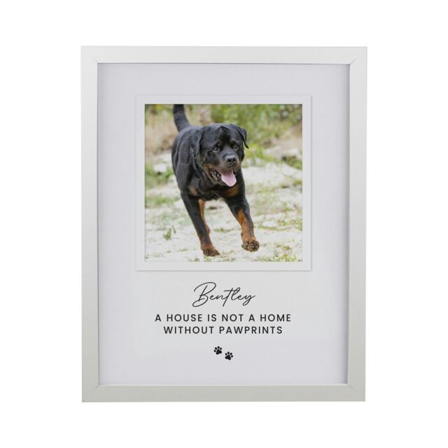 Personalised Pet Photo Upload White Framed Print White One Size