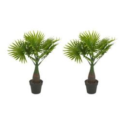 Artificial Faux Palm Tree -1-2 Pack Multi Fan Leaf 2