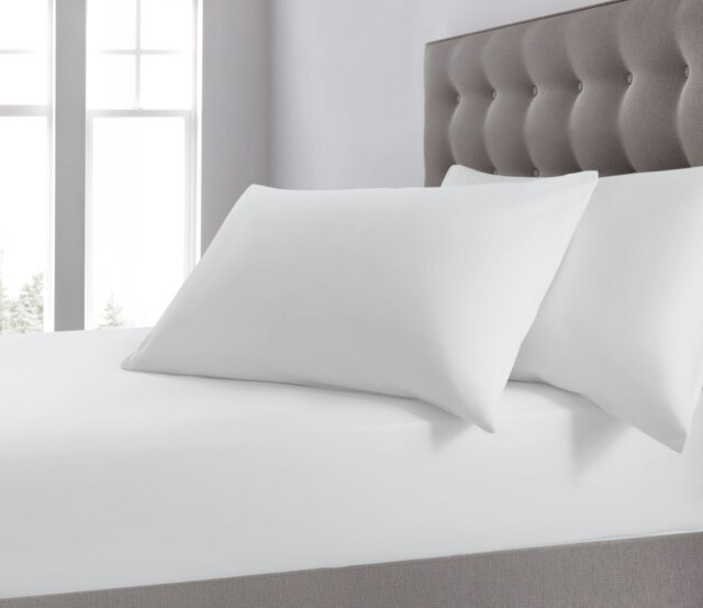 Velosso Plain Dyed Cotton Blend Fitted Sheet White White Super King