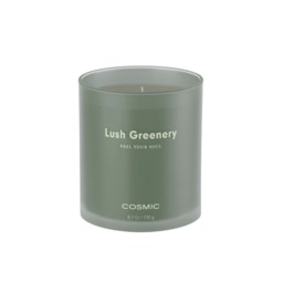 Cosmic Scented Candle Lush Greenery Olive Finish Handcrafted Soy Wax Candles Multi 1