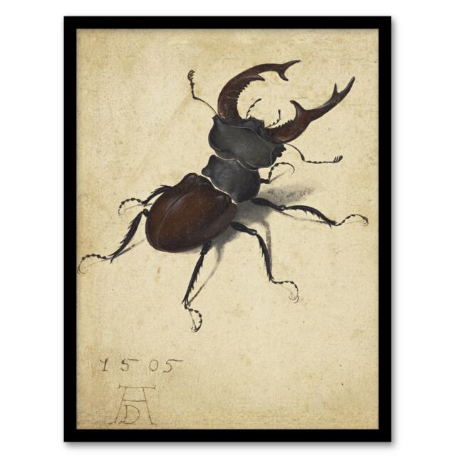 Albrecht Durer Stag Beetle Nature Study Painting Framed Wall Art Print A4