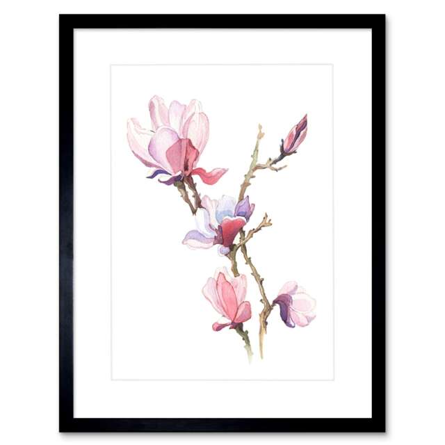 "Elegant Magnolia Flower Blooms Floral Watercolour 9x7"" Black Framed Wall Art Print"