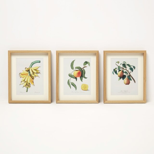 Homescapes Framed Fruit Wall Art, 20 x 25 cm, Set of 3