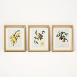 Homescapes Framed Fruit Wall Art, 20 x 25 cm, Set of 3