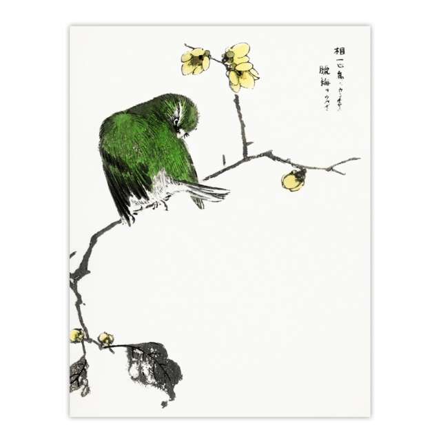 "Fairy Pitta and Japanese Allspice Vintage Wall Art Print Kashu 24x32"""