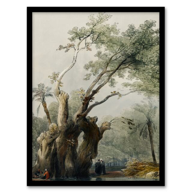 "The Holy Tree of Metereah D. Roberts Vintage Framed Wall Art Print 12X16"""
