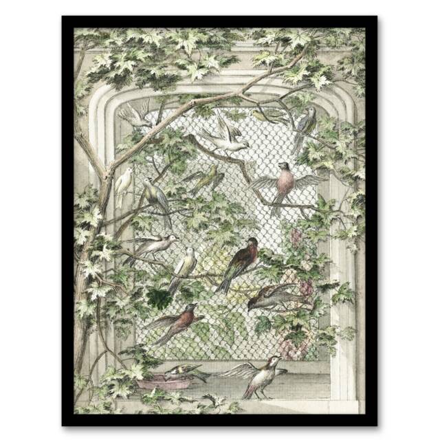 "Aviary with Fourteen Birds Schouman Framed Wall Art Print 12X16"""
