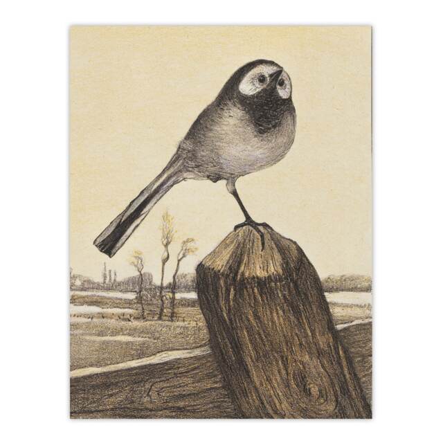 "Wagtail Bird Perched on Pole Vintage Wall Art Print van Hoytema 18x24"""