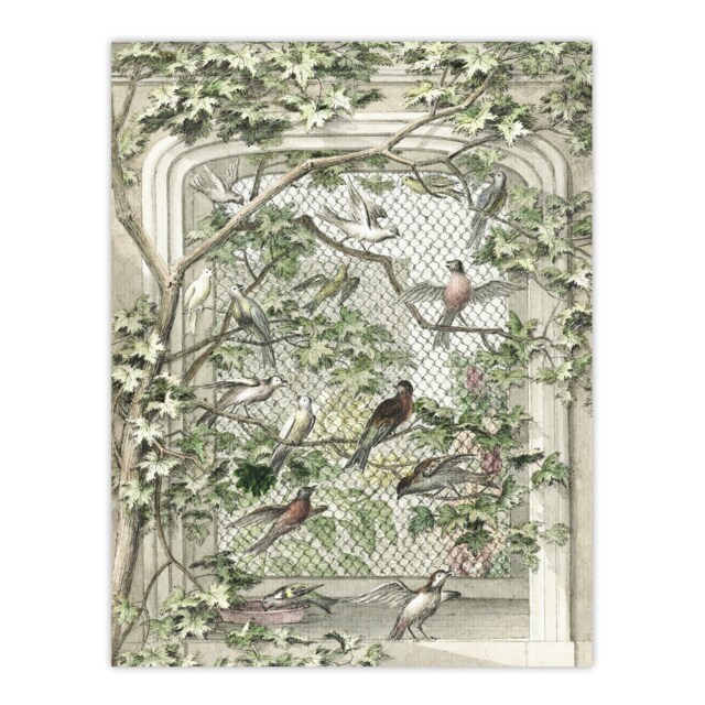 Aviary with Fourteen Birds Schouman Huge Wall Art Print 18X24 In