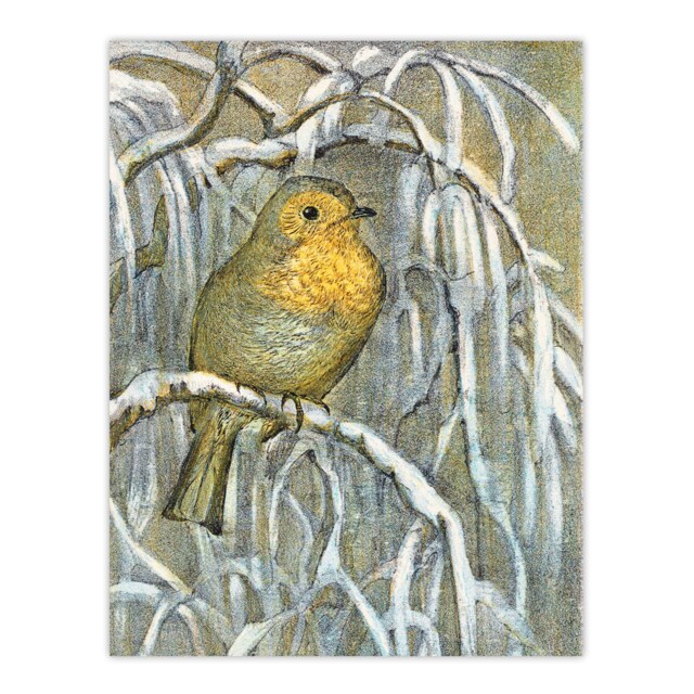 "Robin on Snowy Tree Branch Vintage Wall Art Print van Hoytema 18x24"""