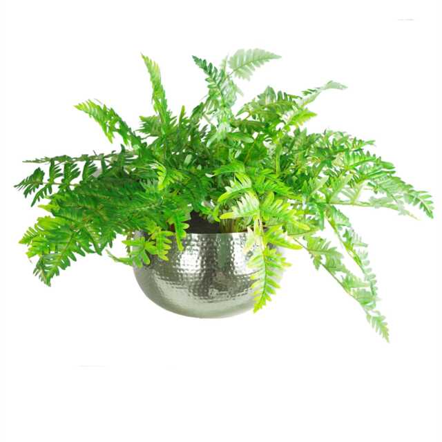 Large Artificial Ferns Display with XL Metal Silver Bowl Planter 50x65cm Green