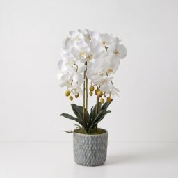 Homescapes Artificial White Orchid in Blue Ceramic Pot