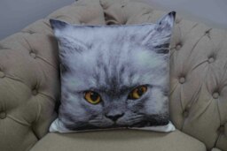 Smokey Cushion Cover with Cusion Pads (43x43 cm) Multi Multi 43 x 43 cm 1