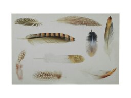 Orsina Feather Wall Plaque, Elegant Wooden Sign With Delicate Feather Illustration, Natural Tones Add Soft, Serene