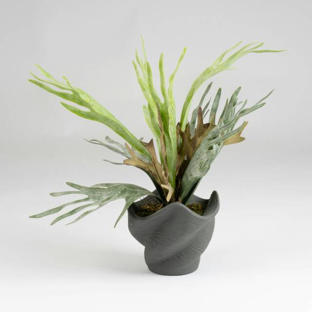 53Cm Sea Greens In Cement Shell Pot Green One Size