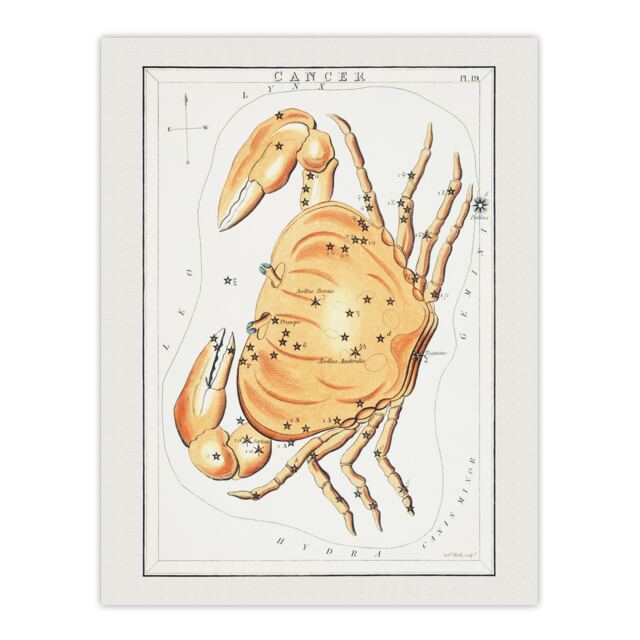 "Vintage Cancer Constellation Illustration Hall Huge Wall Art Poster Print 24X32"""
