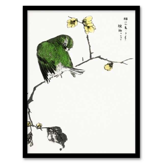 "Fairy Pitta and Japanese Allspice Vintage Framed Wall Art Print Kashu 12x16"""