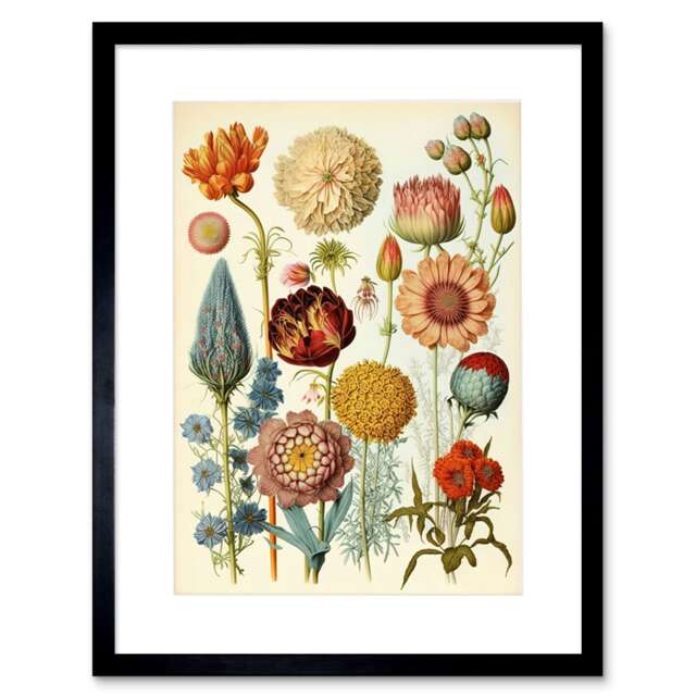 "Vintage Botanical Ernst Haeckel Style Plant Watercolour 9x7"" Black Framed Wall Art Print"