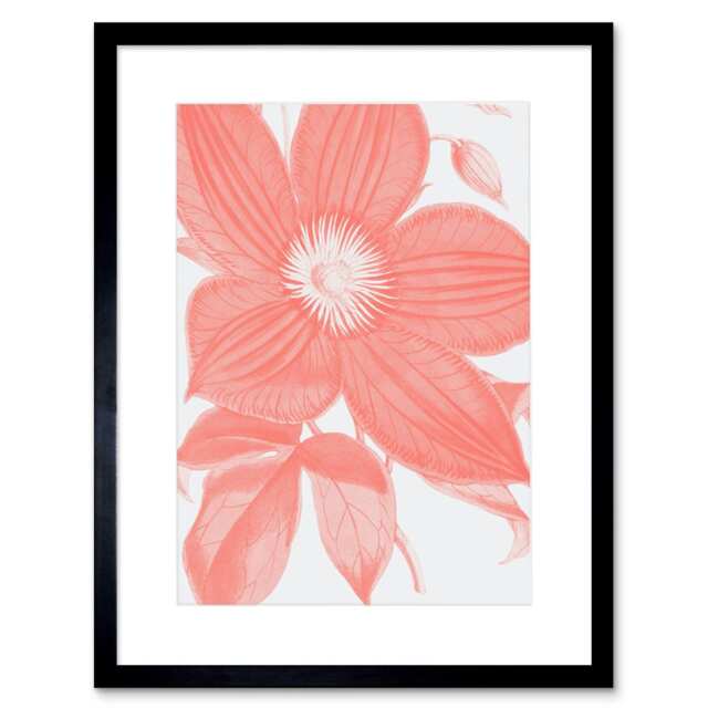 "Coral Pink Botanical Clematis Flower Plant Lover 9x7"" Black Framed Wall Art Print"