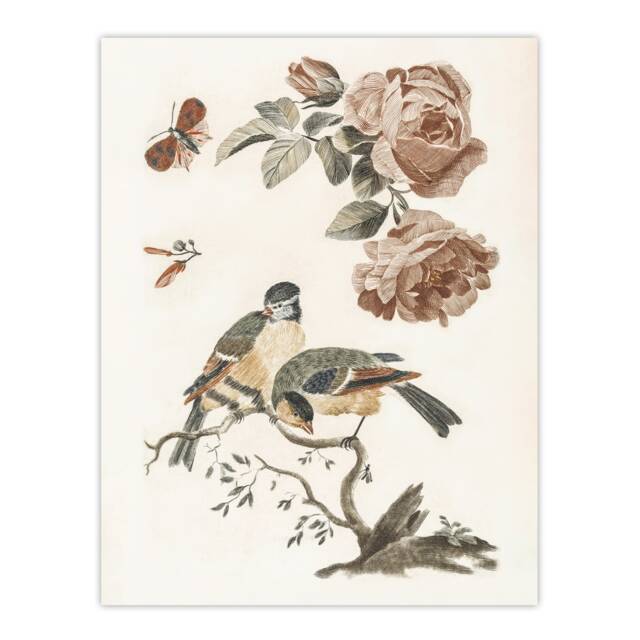 Roses Butterfly A Blue and Great Tit Teyler Huge Wall Art Print 18X24 In