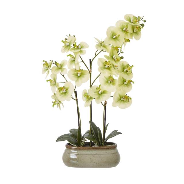 Hill Interiors Ceramic Orchid Artificial Potted Plant Green Green 73cm x 9cm x 52cm 1