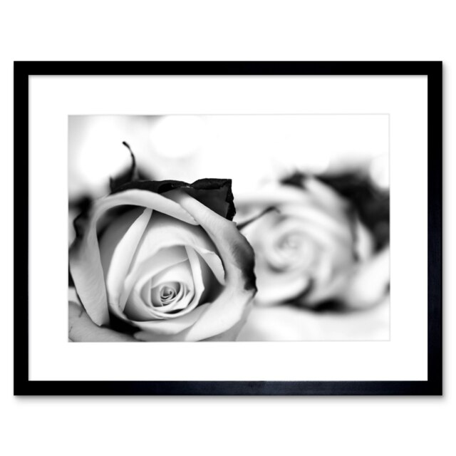 "Roses Romance Rose Flower Black White Macro 9x7"" Black Framed Wall Art Print"