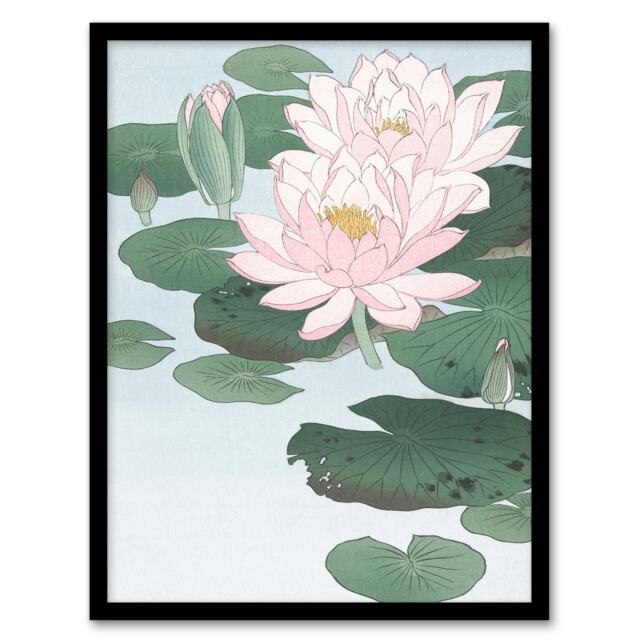 "Water Lily Pads Pink Flower Bloom Japanese Framed Wall Art Print Koson 12x16"""