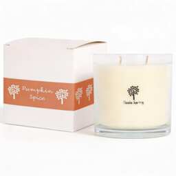 Nicola Spring Pumpkin Spice Scented Candle - 400g 28h Natural Single Wick Soy Wax Aromatherapy Candle Home Fragrance