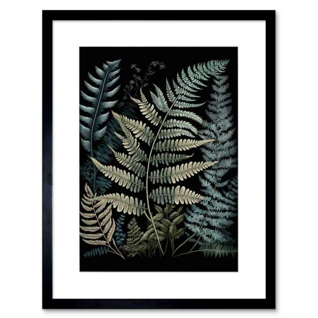 "Fern Frond Species Detailed Botanical 9x7"" Black Framed Wall Art Print"