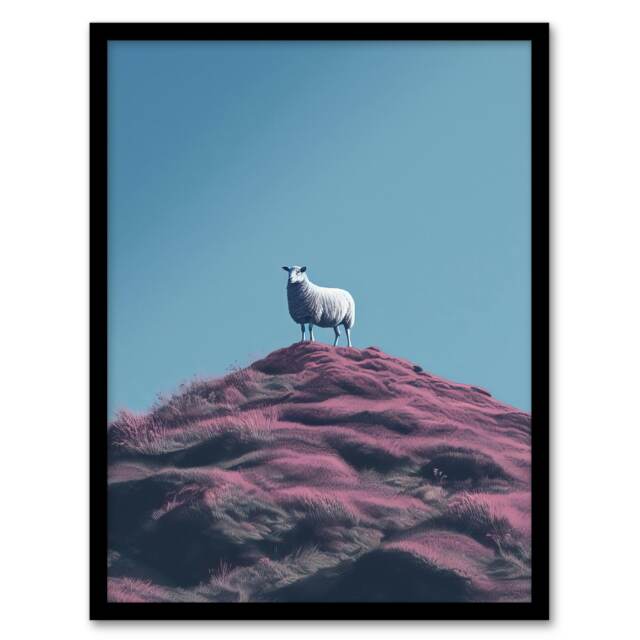 High On Heather Scotland Sheep Home Decor Black Framed Wall Art Print A4