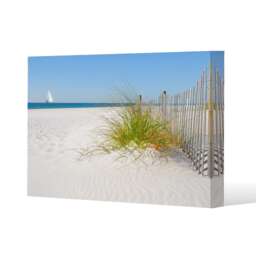 dune fence by sea grass with sailboat on horizon (Canvas Print) / 114 x 77 x 4cm Multi