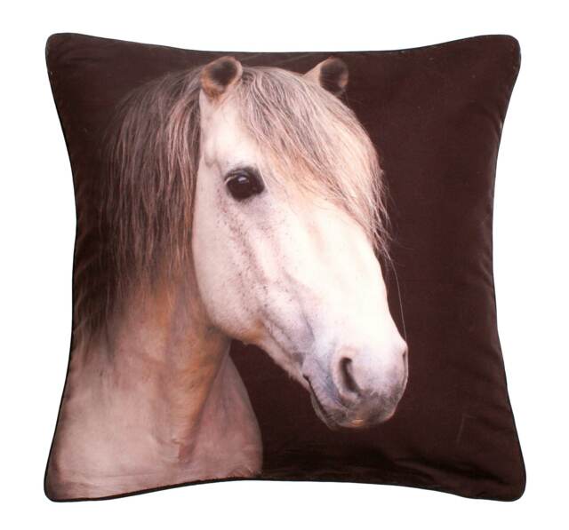Adorable Bold Print Animal Cushion - 43cm x 43cm Multi Horse