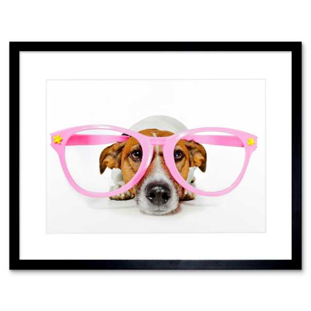 "Jack Russell Dog Comedy Pink Glasse Home Decor 12x16"" Framed Wall Art Print"