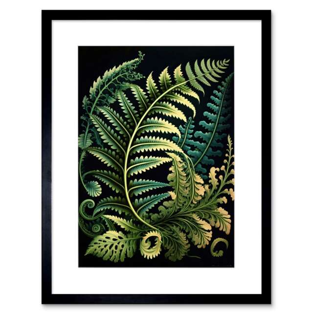 "Fern Fronds Botanical Haeckel Leaf 9x7"" Black Framed Wall Art Print"