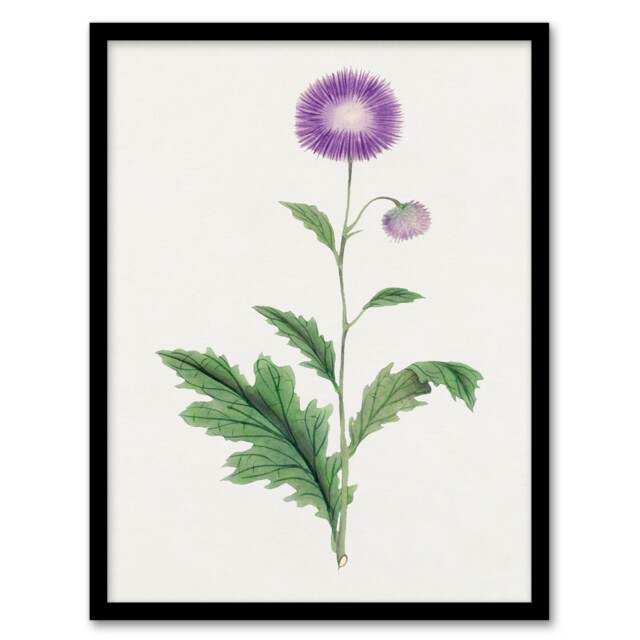 Vintage Japanese Botanical Framed Wall Art Print Thistle Flower Home Décor