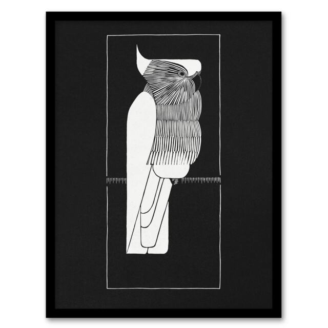 "Sulphur Crested Cockatoo Parrot De Mesquita Framed Wall Art Print 12X16"""