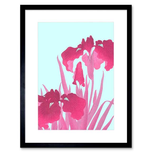 "Ohara Koson Pink Iris Flowers 9x7"" Black Framed Wall Art Print"