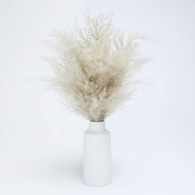 OHS Natural Home Decor Faux Fluffy Artificial Pampas Grass in Vase Plant, 50cm - Natural