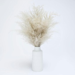 OHS Natural Home Decor Faux Fluffy Artificial Pampas Grass in Vase Plant, 50cm - Natural