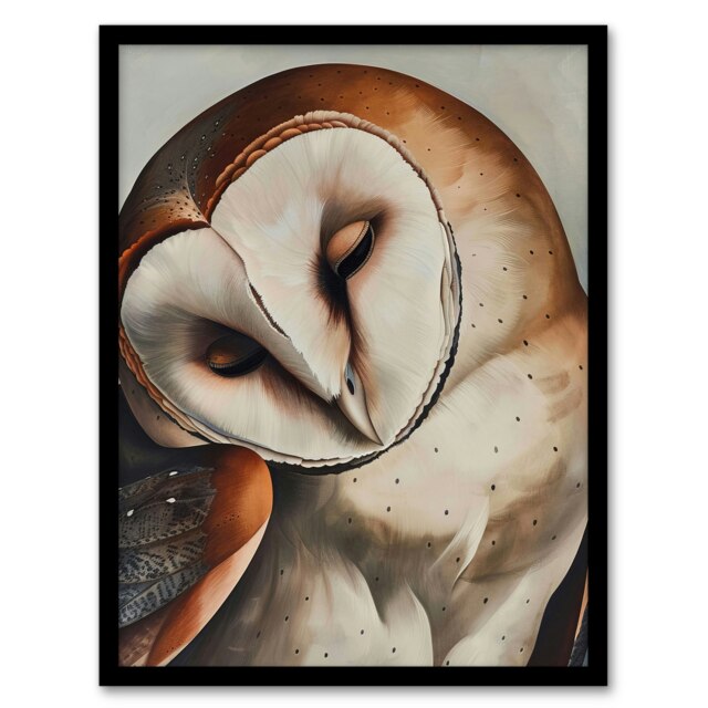 Peaceful Barn Owl Portrait Calm Magical Bird Animal Black Framed Wall Art Print A4