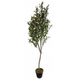 180cm Artificial Natural Look Olive Tree with Wooden Trunk Green 6ft