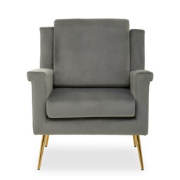 Orsina Grey Classic Armchair with Velvet Upholstery, Sturdy Frame Lounge Indoor Chair with Gold Finish Metal Legs