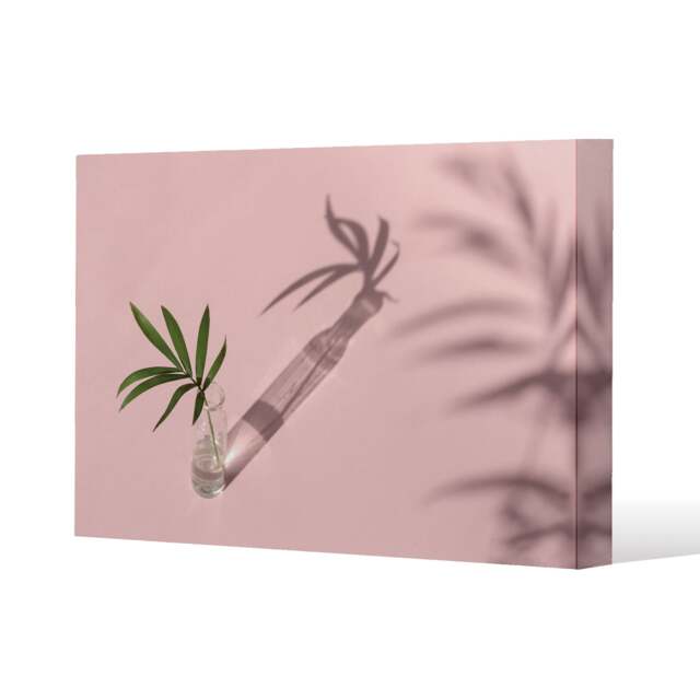 Botanical leaf on pink (Canvas Print) / 127 x 101 x 4cm Multi