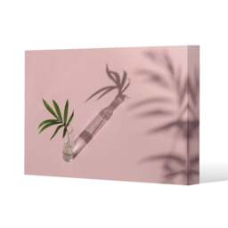 Botanical leaf on pink (Canvas Print) / 127 x 101 x 4cm Multi