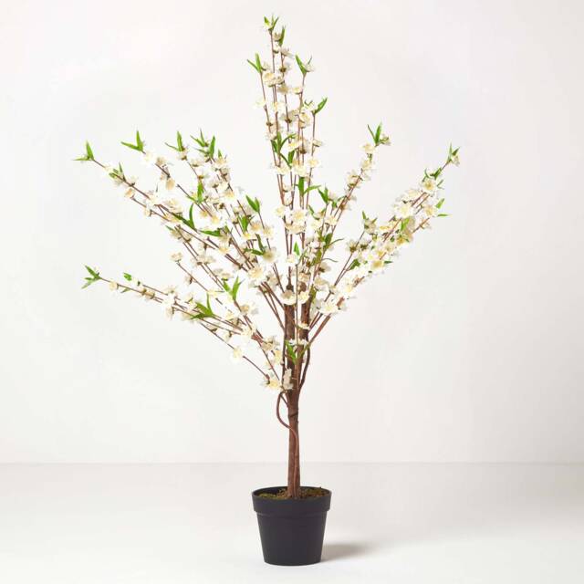 Homescapes Artificial Blossom Tree with Cream Silk Flowers, 135 cm