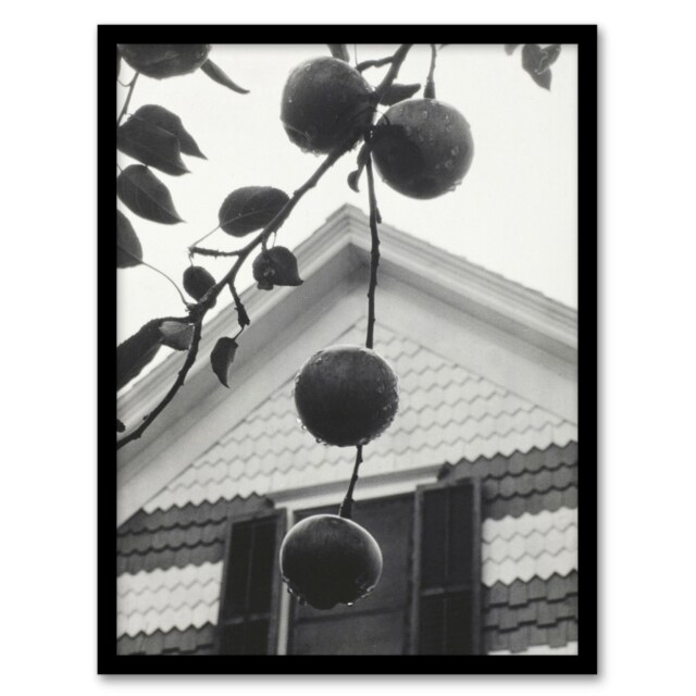 Alfred Stieglitz Gable and Apples Vintage Photograph Framed Wall Art Print A3